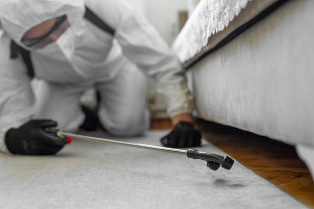 Professional Wasp Control technician working in Reynoldsville, PA