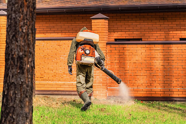 Trusted Cockroach Control service in Reynoldsville, PA - Nex Pest Control